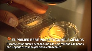 Se cumplen 40 años del nacimiento del primer bebé probeta