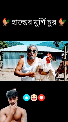 হাল্কের মুরগি চুরি করলো দাদু #bengali #funny #vairelsort 😁