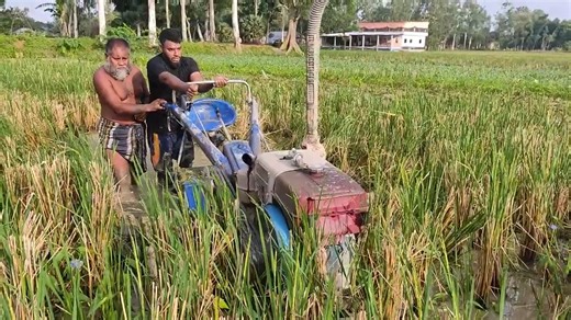 27K views · 305 reactions | Power Tiller Review | Maximizing Efficiency Test The Power Tiller | Power Tiller Video | 1st Part #powertillervideo #powertillerreview #powertillertractor #powertillertest | Power Tiller BD & Machinery Tools | Facebook