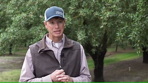 27K views · 176 reactions | #PollinatorWeek is a reminder of how...