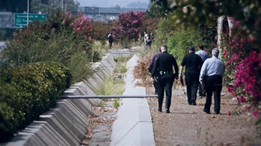 What went wrong in the Freeway Phantom investigation – "A case that stalled"