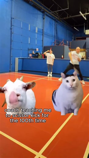 leena on Instagram: "My worse enemy 🥲 #badminton #badmintontraining #badmintoncoach #badmintonlover #bellevuebadminton"