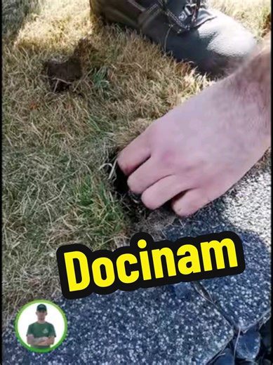 Smart Garden Solutions for Your Home