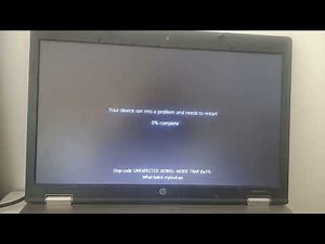 YTP Car Logos Do Drugs has BSOD (Tiny11 25H2 - HP Probook 6550b)