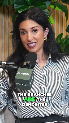 Brain Cells Explained: Axons, Dendrites, and Connections