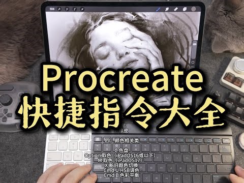 Procreate快捷键设置大全