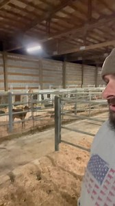 32K views · 3.6K reactions | Designing calving pens right makes life easier. | TDF Honest Farming | Facebook