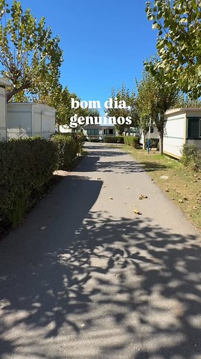 233 reactions · 3 comments | Bom dia a todos os campistas preferidos ❤️ | Camping Porto Côvo | Facebook