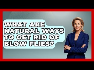 What Are Natural Ways To Get Rid Of Blow Flies? - Insects and Invaders