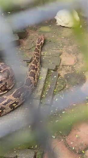 Participate in the LIVE Incentive Program Today!