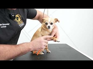 This TRICK made nail trims 10X EASIER