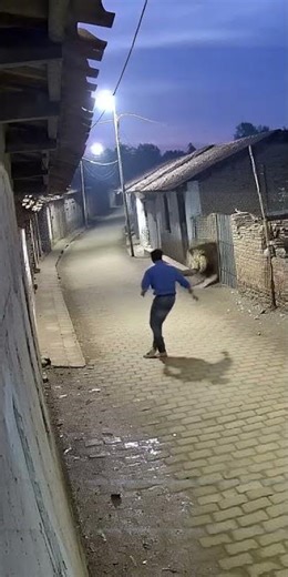 CCTV Caught the Moment Before Fear Hit” #CCTVFootage #LionSighting#CaughtOnCamera#FearCaughtOnCamera