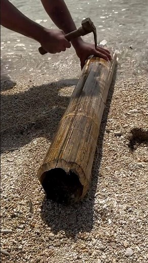 Setting the ULTIMATE Bamboo Fish Trap for Tilapia