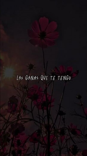 Tutu - Camilo (Letra)