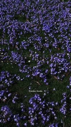 not all ideas become projects. #visualdiary #creativeprocess #creativejourney #creativepassion