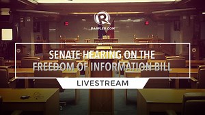 HIGHLIGHTS: Senate hearing on the Freedom of Information bill