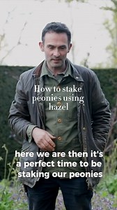 ‘The perfect time to be staking our peonies’ learn how to stake peonies using hazel with Sissinghurst Castle - National Trust gardener Troy Scott Smith and head to the link to watch the full guide https://www.gardensillustrated.com/garden-advice/how-to/peony-supports-make | Gardens Illustrated