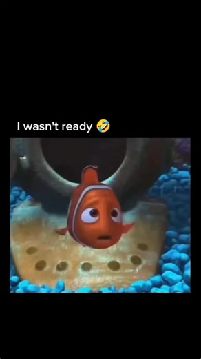 Meme scholars on Instagram: "Who made this 🤣😭😂 Finding Nemo (2003) is a heartwarming Pixar film about Marlin, a worried clownfish who journeys across the ocean to rescue his captured son, Nemo. Along the way, he’s joined by Dory, a forgetful but kind fish, and together they face sharks, jellyfish, and many adventures. Meanwhile, Nemo plans his escape from a fish tank with new friends, learning courage and independence. Filled with emotion and stunning animation, Finding Nemo won the Academy A