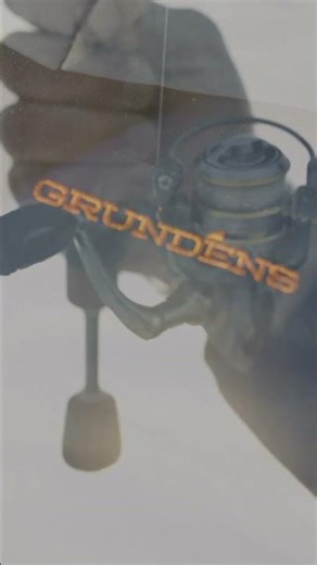 DOGS on the ice? AND perch?! Count us in 😋🤩