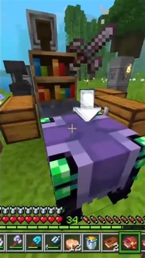 Der Disenchanter Steht #minecraft