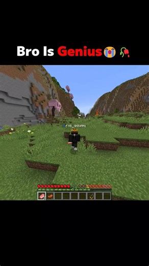 Bro's IQ ❤️ #minecraft #minecraftbuilding #memes