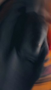 2.3K views · 6.3K reactions | Setting Kara Dehab Sakhiya Se ❣️ @nitesh_rana_official @saregamahumbhojpuri #SettingKaraDehabSakhiyaSe #trendingreels #trending #bhojpurireels #bhojpuri #bhojpurisong #viral #cinema @imrinkusingh | Roshani Prajapati | Facebook