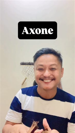 Lkr Naga on Instagram: "Axone . . #reels #explore"