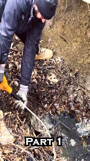 Building a Secret Tree Root Shelter: Bushcraft Survival Part 1