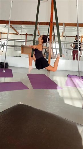 Sophie Fatu | Sophie and another week at @lepetitcirqueofficial 🩷🩷🩷 #sophiefatu #circus #lepetitcirque #aerialist #cirque | Instagram