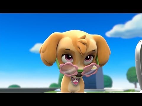 Paw Patrol 2019 | Cartoon Movies For Kids | Save a Hoedown Pups Save Alex