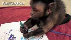 157K views · 10K reactions | MonkeyBoo shows off his famous drawing skills! Would you hang up a MonkeyBoo drawing? | MonkeyBoo | Facebook