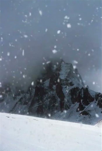 snow drop video | #nature #viral #travel