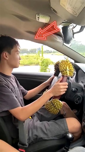 His Driving Was So Bad… They Did THIS 😭🚗