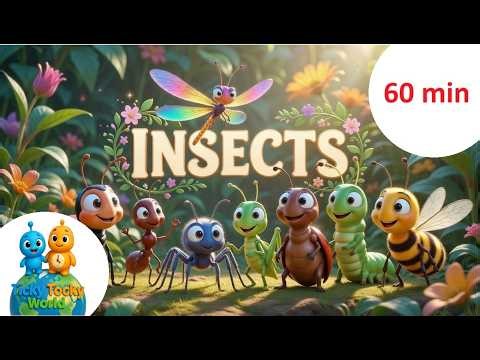 60 minutes Learn Insects for Kids | Bug Names | Fun & Calm Educational Video