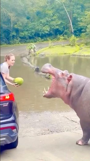 World’s Funniest Reels – Must Watch Viral Laughs!