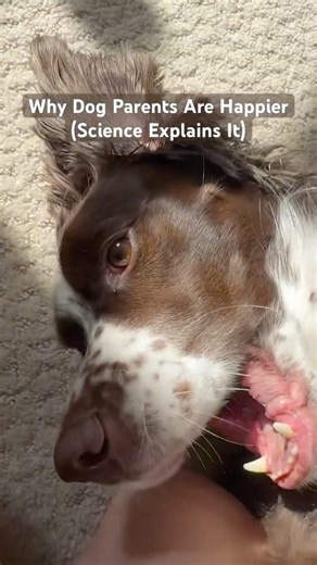 Why Dog Parents Are Happier (Science Explains It)