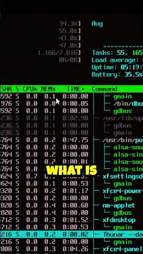 Real-Time System Monitoring with htop on Linux