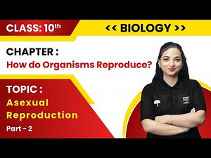 Class 10th Biology - How Do Organisms Reproduce? | Part-2 Asexual Reproduction | Live 2023-24