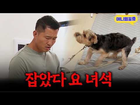 A dog that barks at everyone it makes eye contact with.. Did its attitude change as soon as Kang ...
