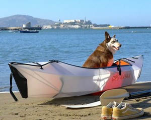 73K views · 500 reactions | Oru Kayak is designing a new,...