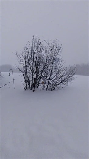 Area Code 269 | Entry #13.66 | The Snow's Coming Down Hard