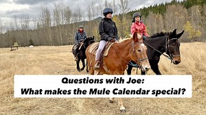 4.4K views · 40 reactions | On today’s episode of Questions with Joe, he walks us through the Mule calendar and shows some of his favorite shots. #mules #farming | Rural Heritage Magazine | Facebook