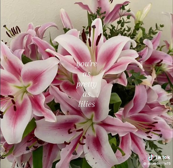 Thanksgiving Wishes for Friends and Loved Ones