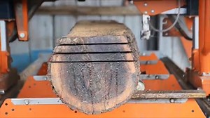 Order a FREE info kit and learn how to add some sawdust to your day with a Norwood Portable Sawmill! | Norwood Portable Sawmills