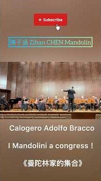 Calogero Adolfo Bracco《I Mandolini a congress！》 小交響詩「マンドリンの群れ」《曼陀林家的集合》｜Taiwan Mandolin Ensemble