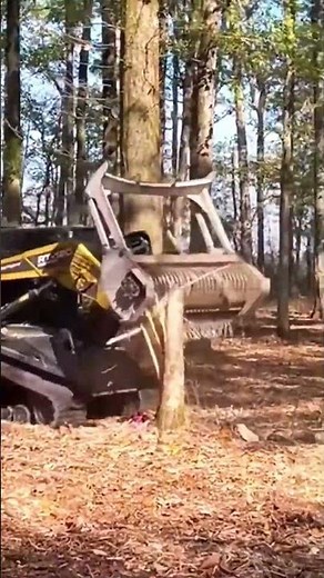 Heavy Forestry Mulcher Operation A Shredding Trees Effortlessly