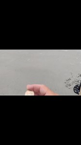 So many awesome beach finds #detecting #beach #digging #gold #silver #treasure #found #lost | Joe Digger