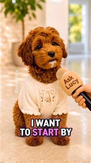 This Talking Goldendoodle Has the Ultimate Potty Training Defense 😂🐶