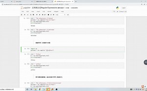 python数据清洗正则表达式Regular Expressions