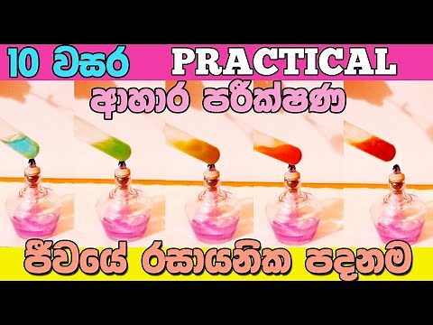 Grade 10 Science Practicals in Sinhala Medium | 10 විද්‍යාව 1 පාඩම | ජීවයේ රසායනික පදනම පරීක්ෂණ